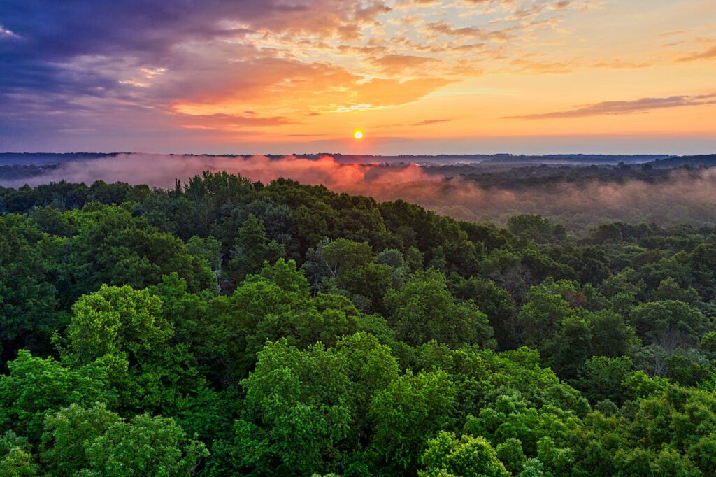 Suriname - "the greenest jewel" of South America.